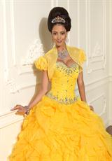 Vizcaya 88008.  Available in Bright Orange, Bright Purple, Bright Yellow